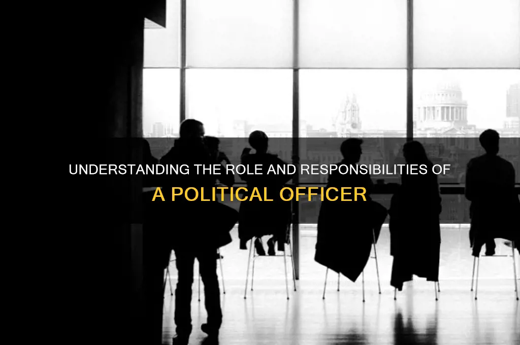 what is a political officer