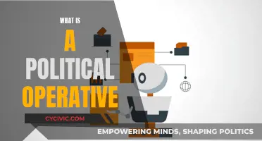Political Operative: Who Are They and What Do They Do?