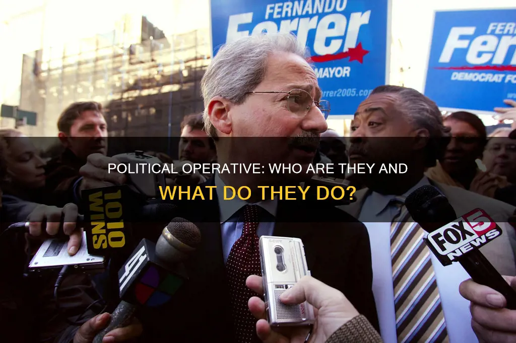 what is a political operative