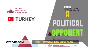 Understanding Political Opponents: Roles, Impact, and Democratic Significance