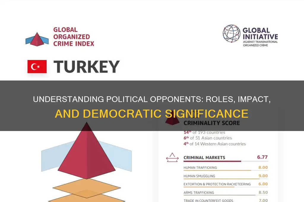 what is a political opponent