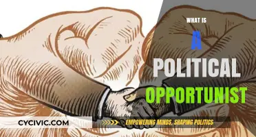Understanding Political Opportunism: Tactics, Traits, and Real-World Implications