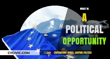 Understanding Political Opportunities: Catalysts for Change in Society and Governance