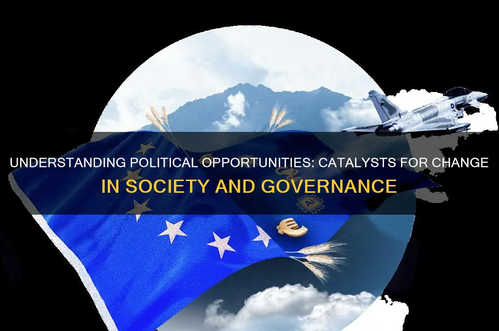 what is a political opportunity