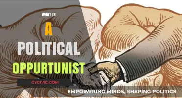 Understanding Political Opportunism: Tactics, Impact, and Real-World Examples