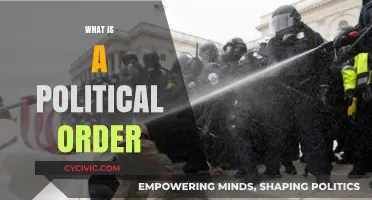 Understanding Political Order: Foundations, Structures, and Societal Stability Explained