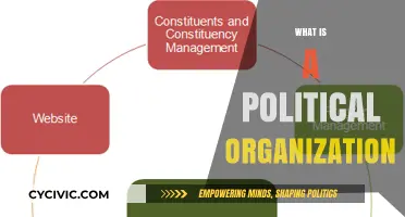 Understanding Political Organizations: Structure, Roles, and Influence Explained