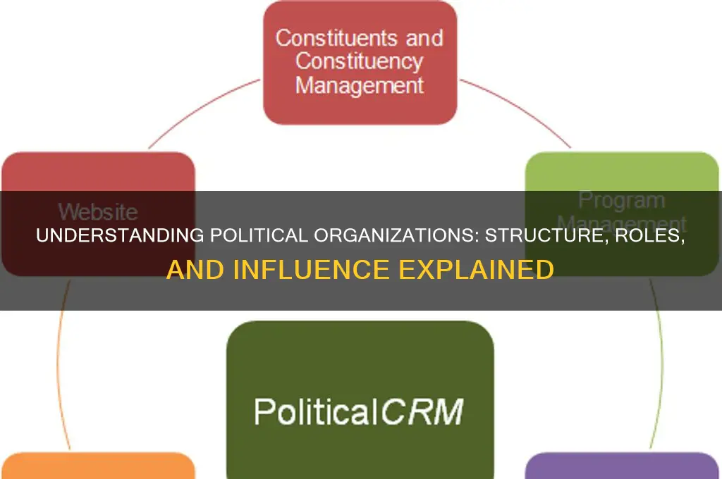what is a political organization