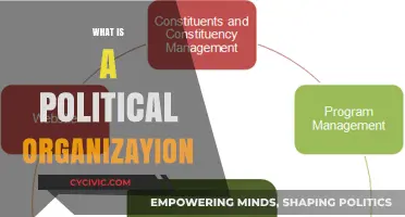 Understanding Political Organizations: Structure, Roles, and Influence Explained