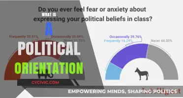 Understanding Political Orientation: Core Beliefs, Influences, and Societal Impact