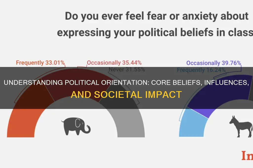 what is a political orientation