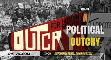 Understanding Political Outcry: Causes, Impact, and Public Response Explained