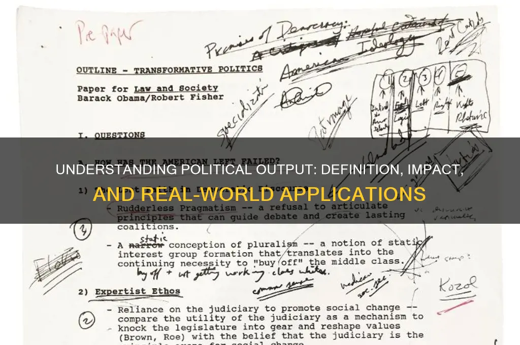 what is a political output