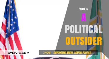 Understanding the Political Outsider: Definition, Impact, and Role in Democracy