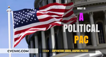 Understanding Political PACs: Their Role, Influence, and Impact on Elections