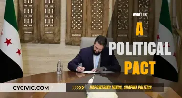 Understanding Political Pacts: Agreements Shaping Governance and Alliances