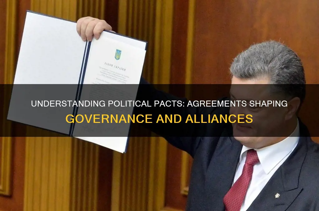 what is a political pact