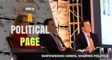 Understanding Political Pages: Purpose, Impact, and Engagement Strategies