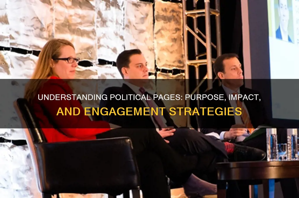 what is a political page