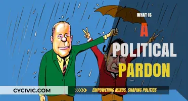 Understanding Political Pardons: Power, Process, and Implications Explained