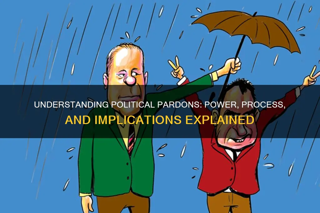 what is a political pardon