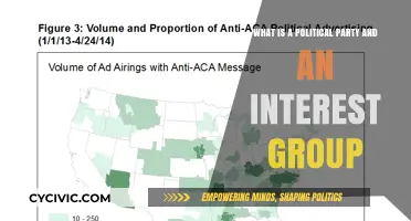 Understanding Political Parties and Interest Groups: Roles, Differences, and Impact