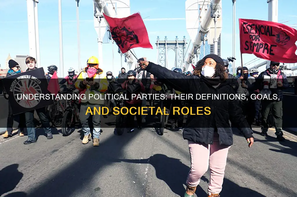 what is a political party and their goals
