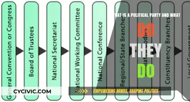 Understanding Political Parties: Roles, Functions, and Impact on Governance