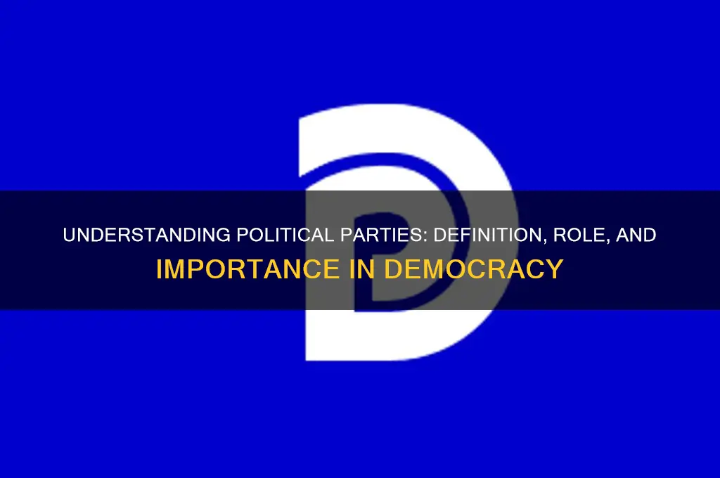 what is a political party answer