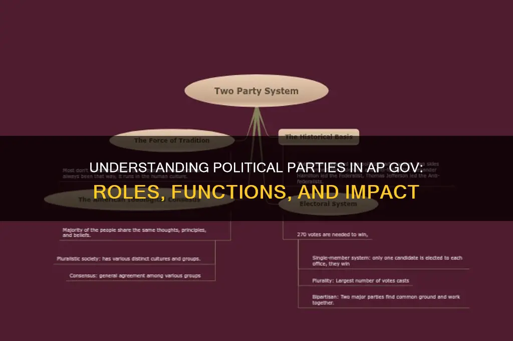 what is a political party ap gov