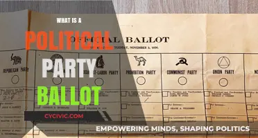 Understanding Political Party Ballots: A Voter's Guide to Election Basics