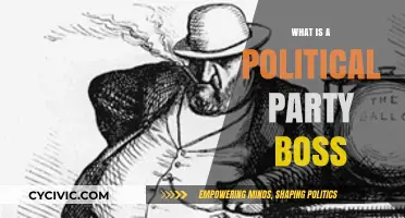 Understanding the Role and Influence of a Political Party Boss