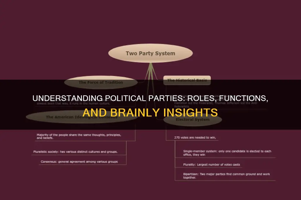 what is a political party brainly