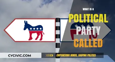 Understanding Political Party Names: Origins, Meanings, and Global Variations
