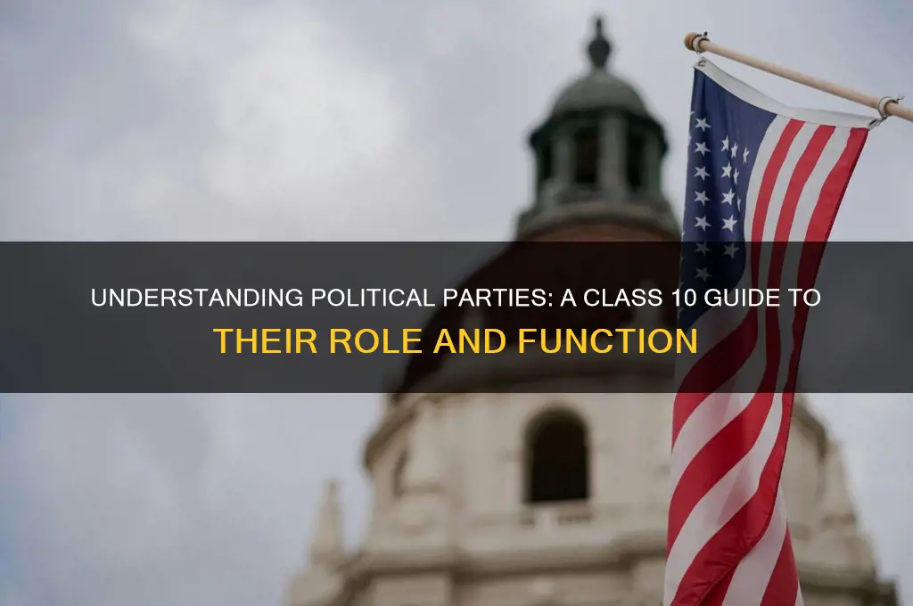 what is a political party class 10