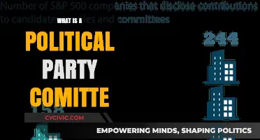 Understanding Political Party Committees: Roles, Functions, and Impact