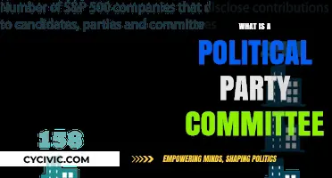 Understanding Political Party Committees: Roles, Functions, and Influence