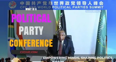Understanding Political Party Conferences: Purpose, Structure, and Impact