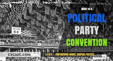 Understanding Political Party Conventions: Purpose, Process, and Impact Explained