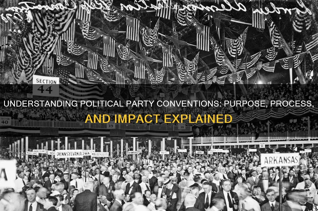 what is a political party convention