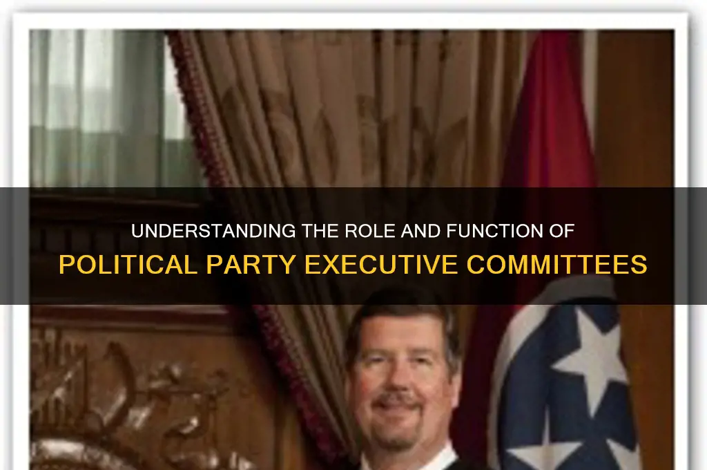 what is a political party executive committees