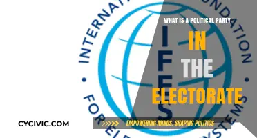 Understanding Political Parties: Their Role and Impact in the Electorate