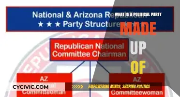 Understanding the Core Components of a Political Party's Structure