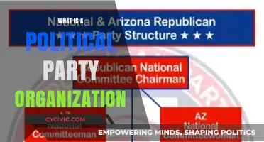 Understanding Political Party Organization: Structure, Roles, and Functions Explained