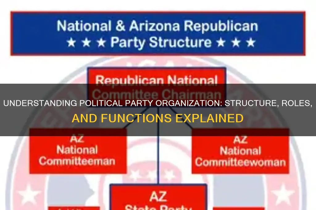 what is a political party organization