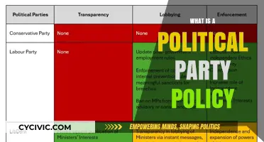 Understanding Political Party Policies: Core Principles and Their Impact