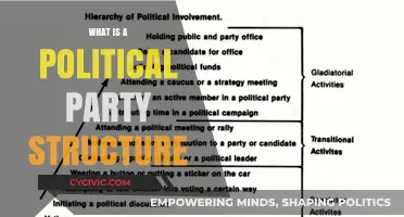 Understanding the Hierarchy: A Deep Dive into Political Party Structures