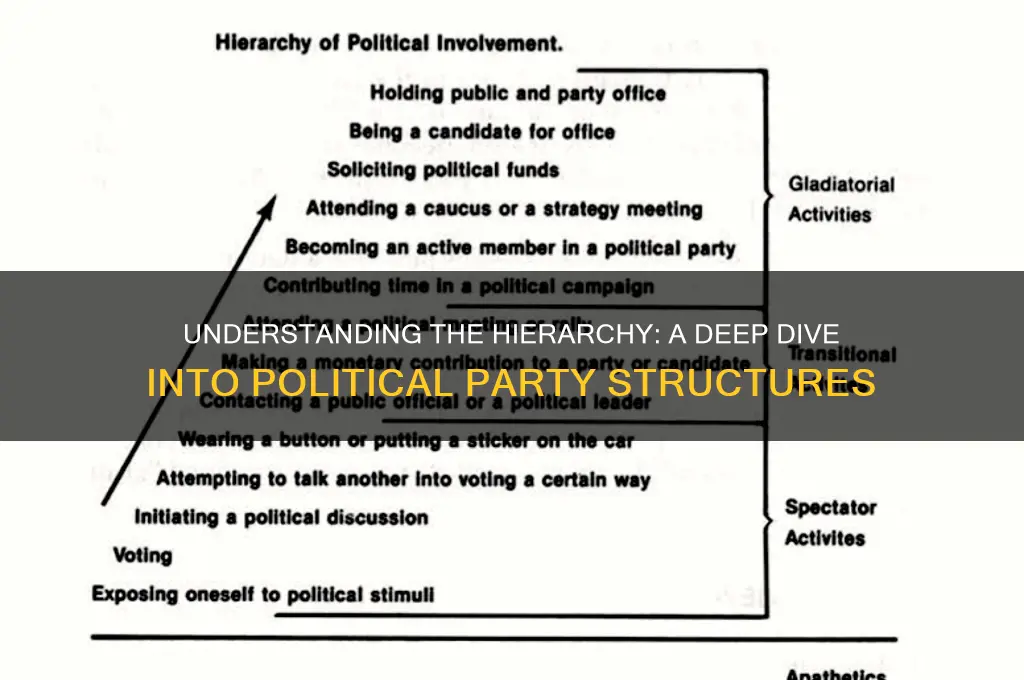 what is a political party structure