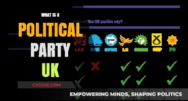 Understanding UK Political Parties: Roles, Structures, and Influence Explained