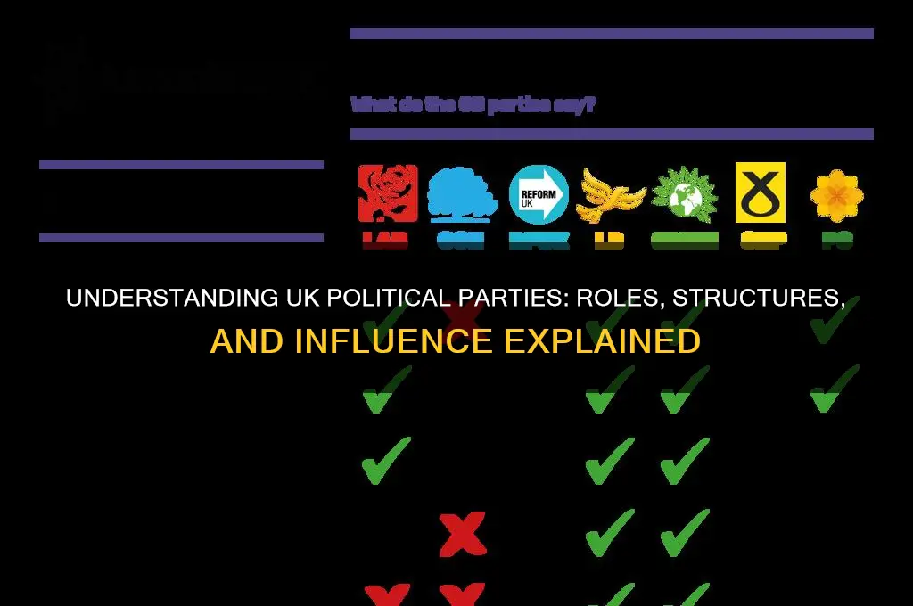 what is a political party uk